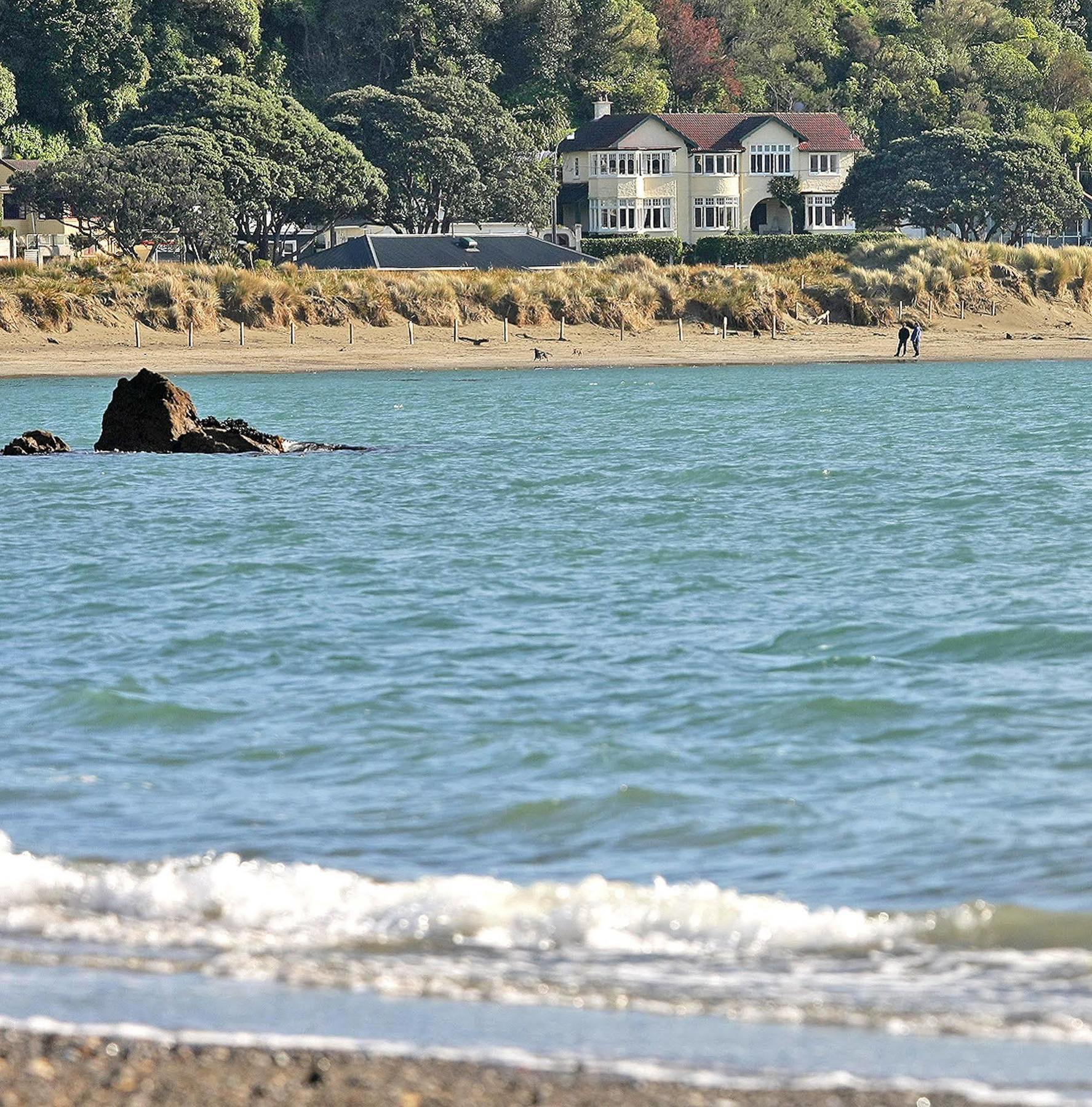 Beachfront Wellington Bed And Breakfast Kültér fotó