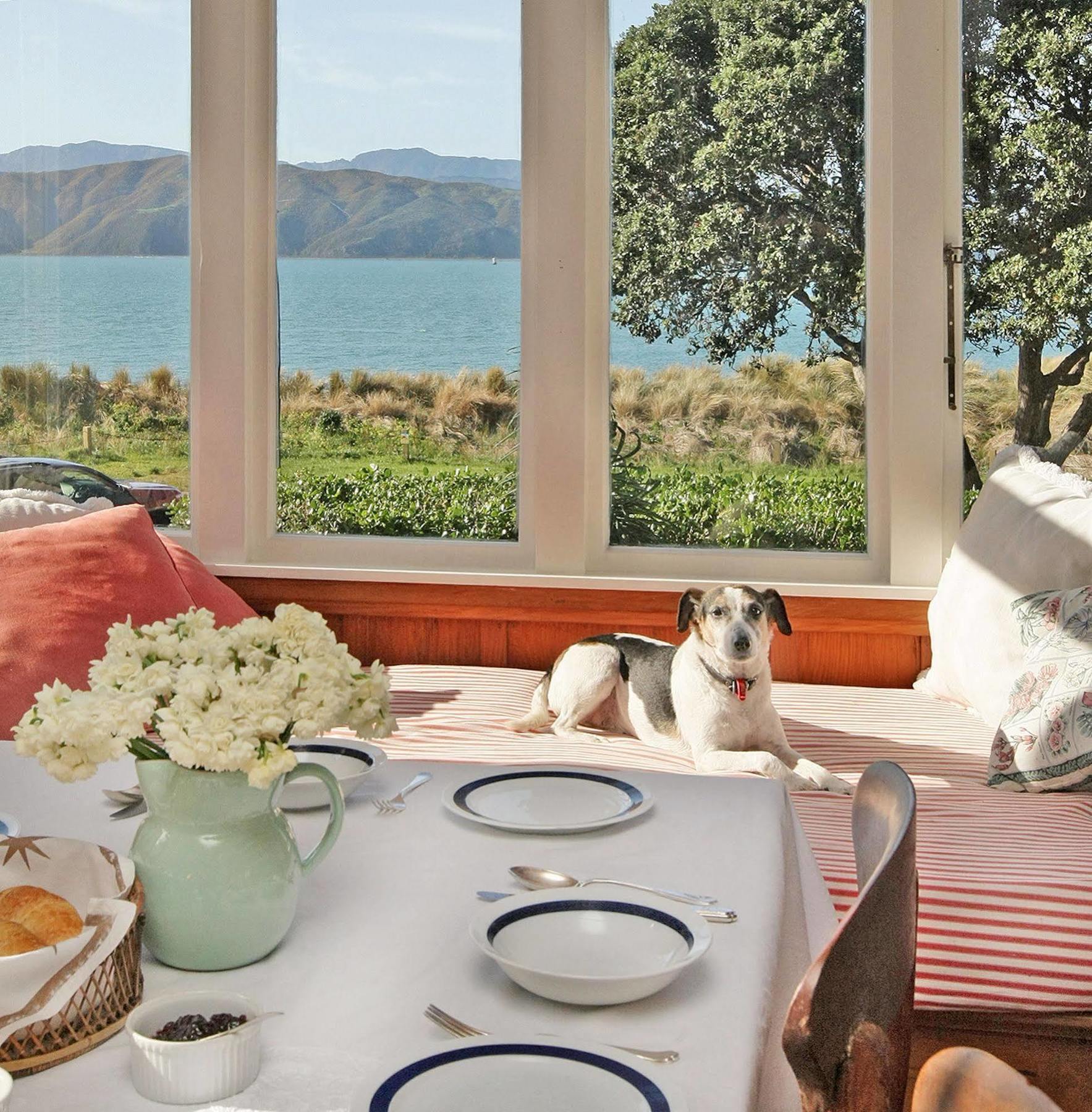 Beachfront Wellington Bed And Breakfast Kültér fotó