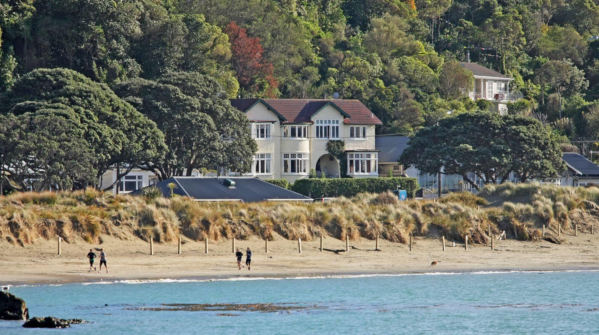 Beachfront Wellington Bed And Breakfast Kültér fotó